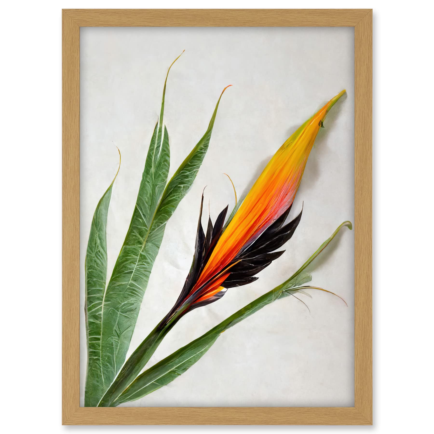 Wee Blue Coo Bird of Paradise Tropical Plant Flower and Leaves Illustration on White Artwork Framed A3 Wall Art Print