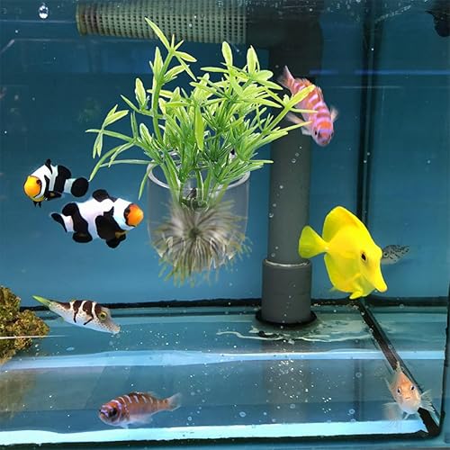 Miniatura 7 de POPETPOP Tazas para plantas acuáticas, 8 unidades, soporte para plantas de acuario, maceta de acuario con ventosas, soporte para plantas acuáticas