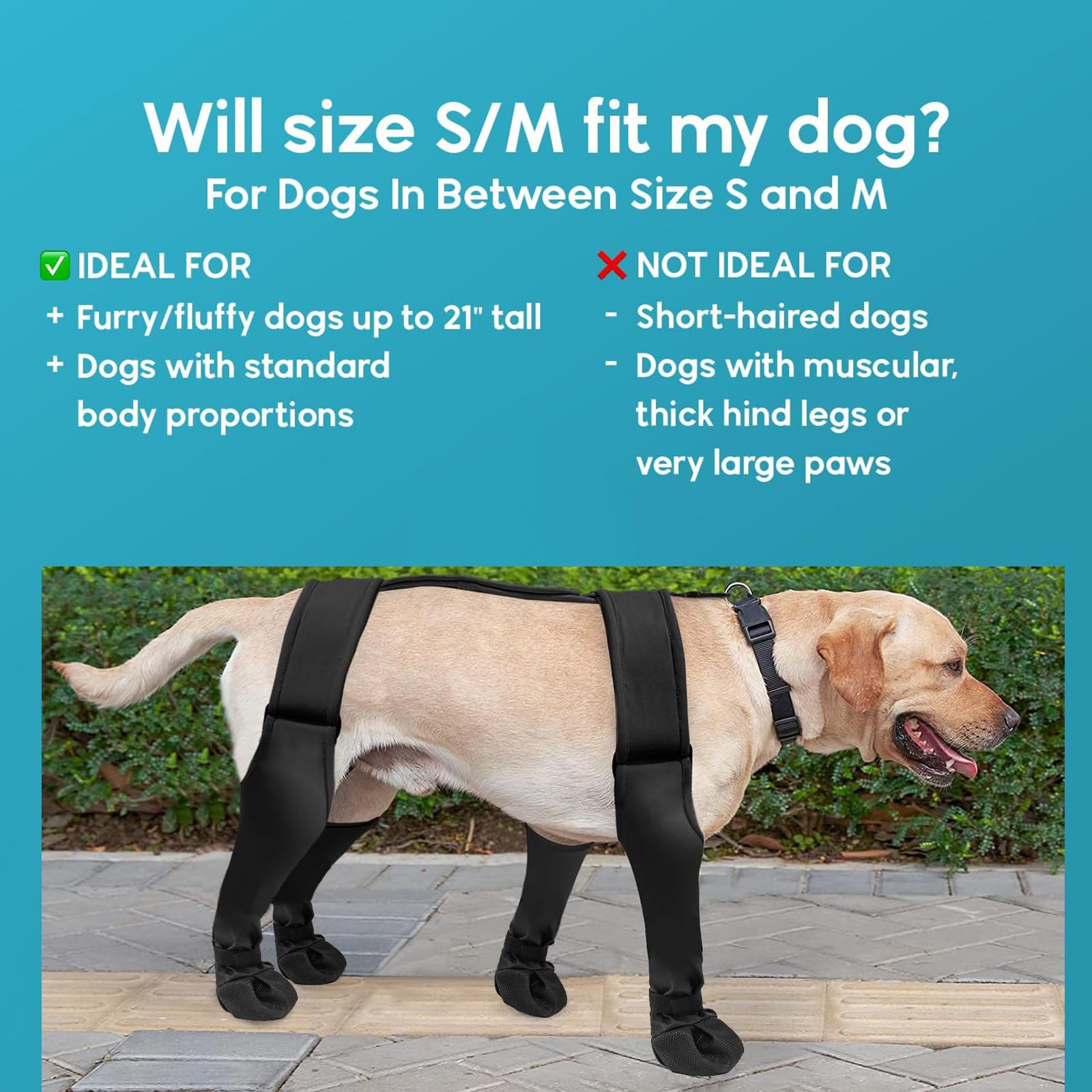 Leggings per cani, stivaletti con bretelle impermeabili, S