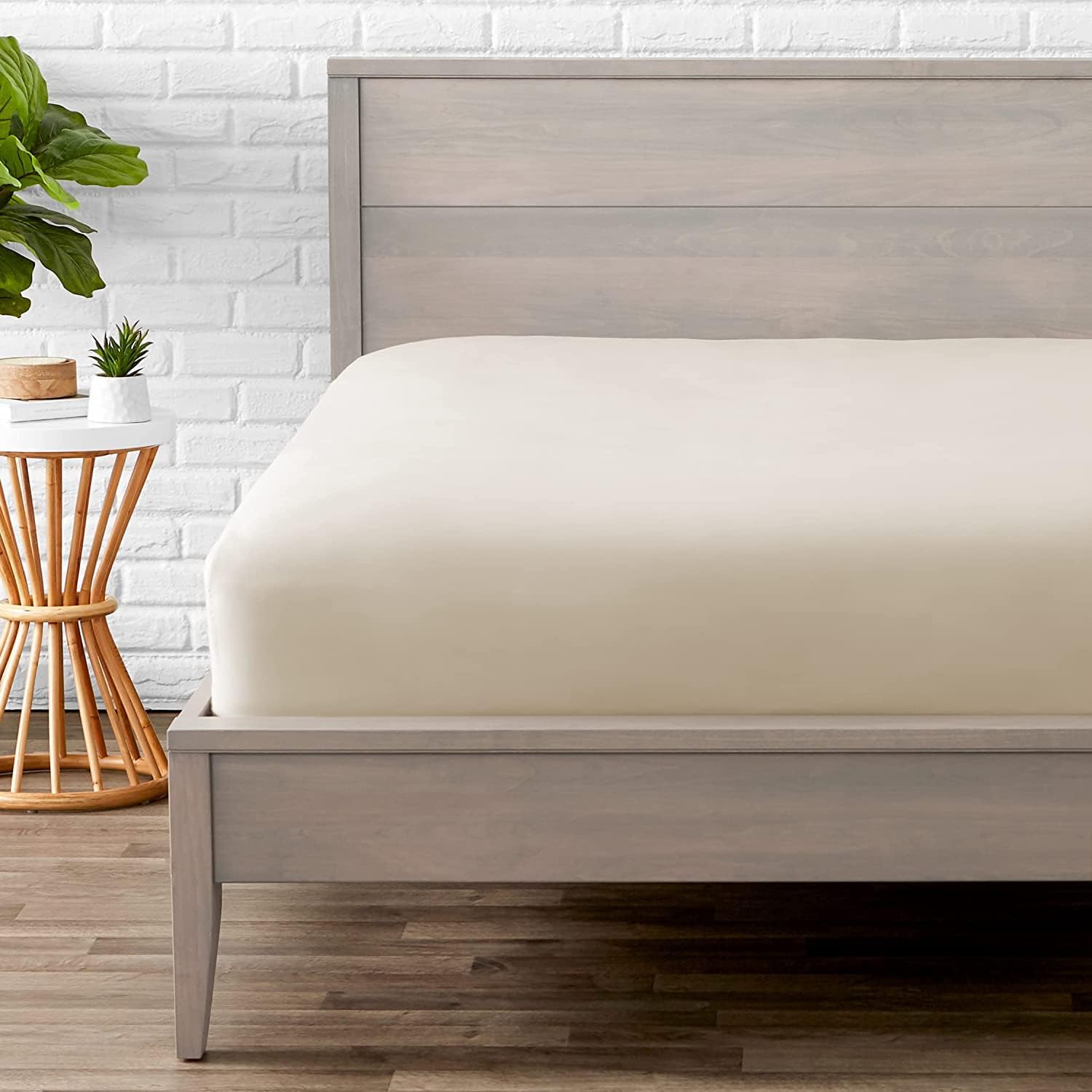See full amazon price history chart for Edenwald Elastic Bed Sheet Fitted Style for King Bed - 100% Pure Cotton Bedsheet with Pillow Cover Solid Pattern, Elastic Bedsheet King Size (78 x 70 Inches)_with 8 Inch Drop-Color_Beige Edenwald Elastic Bed Sheet Fitted Style for King Bed - 100% Pure Cotton Bedsheet with Pillow Cover Solid Pattern, Elastic Bedsheet King Size (78 x 70 Inches)_with 8 Inch Drop-Color_Beige (B09TTNM7SD) Amazon Price History, Amazon Price Tracker