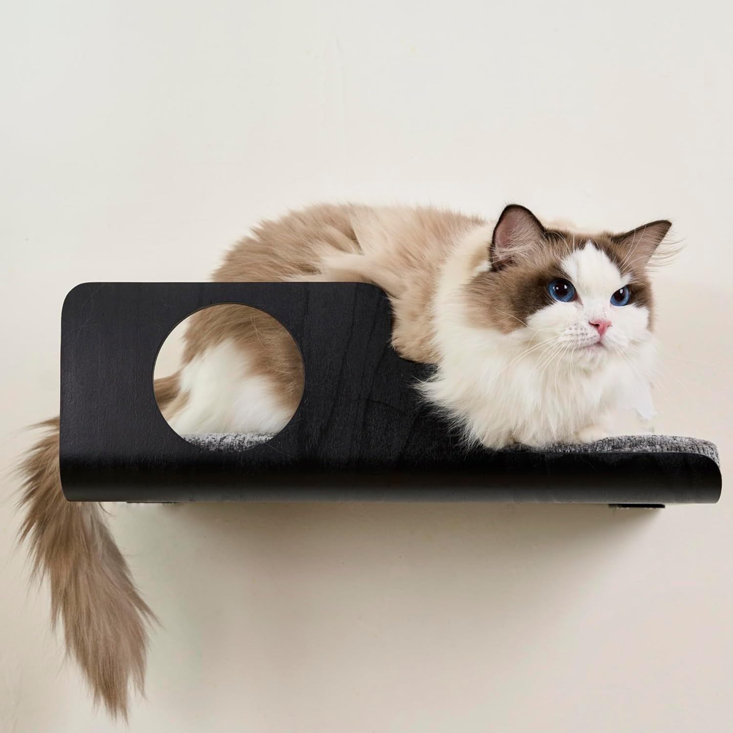 LIORCE Cat Wall Shelves, Creative Design Cat Shelf with Peephole, 19 x 10 inch Cats Wall Furniture with Comfortable Pad, Cats Perch for Sleeping, Playing, and Scratching, Walnut