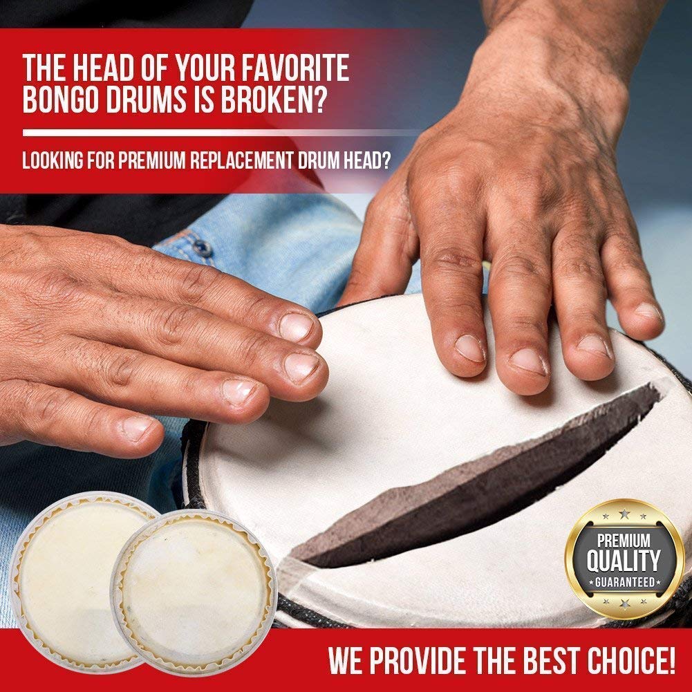 Remo Conga And Bongo Head Chart PDF Caribbean Music Latin, 57 OFF