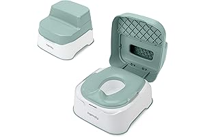 Ingenuity 3-in-1 Prepare to Potty System