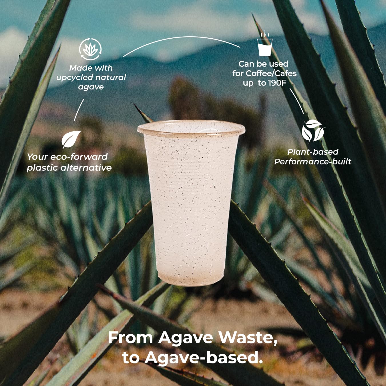 Sustainable Agave Co - Vasos de fibra de agave - Sin plástico, biodegradables, compostables, a base de plantas, transparentes, 12 onzas, 500 unidades