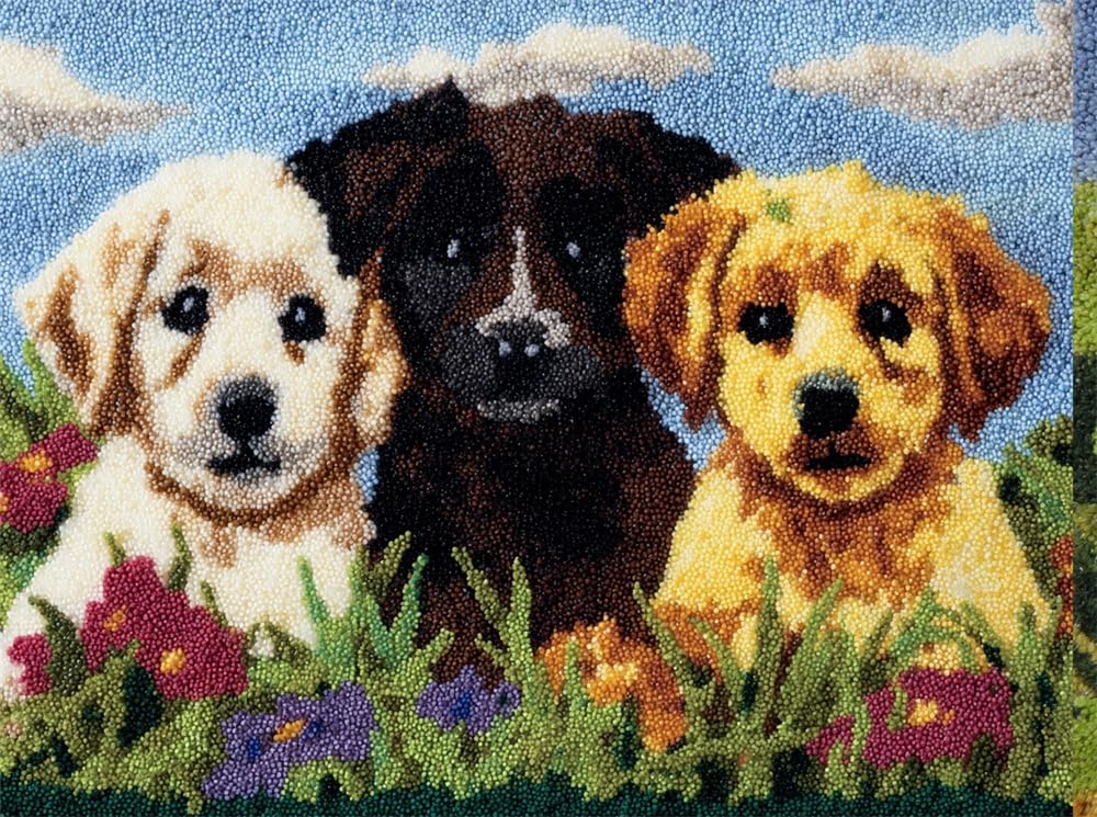 FWRTYCB Latch Hook Rug Kits, Dogs On The Grass Pattern 20X15Inch