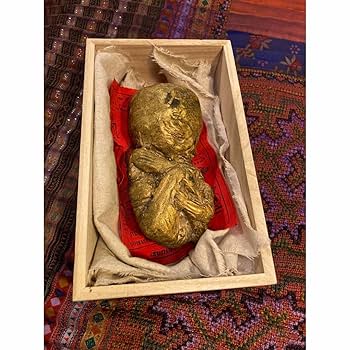 Amazon.co.jp: クマントーン ルッククロック 座敷童子 開運 金運 魔