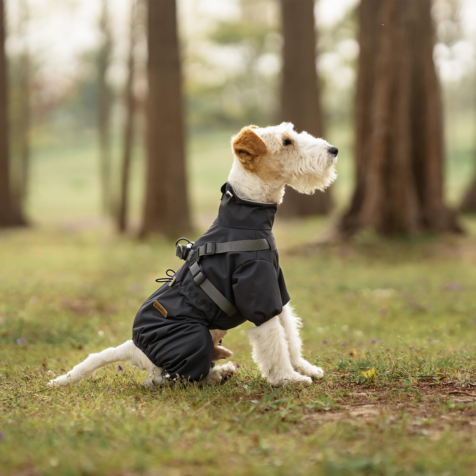 PAWBOSE Imperméables pour Chiens avec Harnais pour Chiens de Petite et Moyenne Taille, Veste de Pluie pour Chien Réglable, Manteau Pluie Chien Réfléchissant, 4 Jambes, Gris, M
