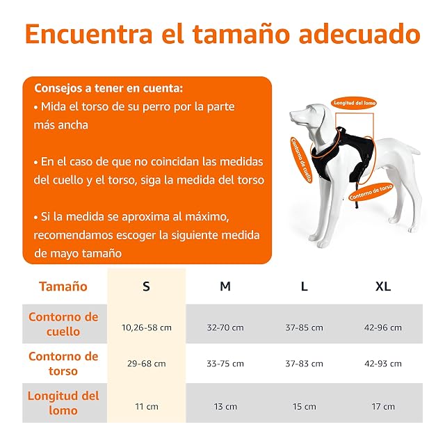 Foto 7 de 7 de Amazon Basics Arnés para perro con diseño sin tirones, ajustable, suave, acolchado, chaleco