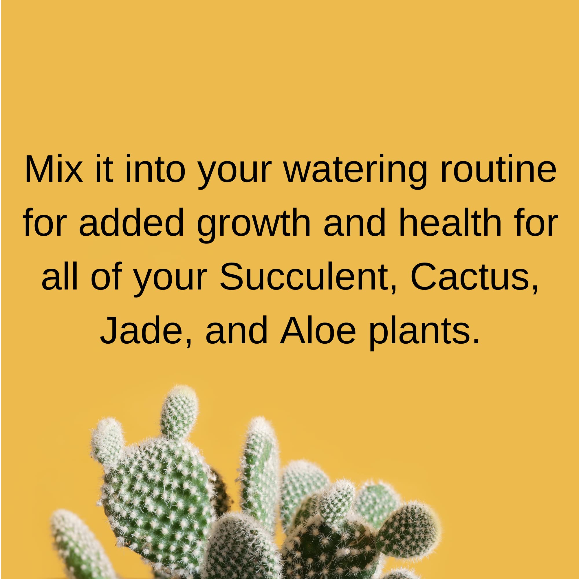 Amazon.com : Houseplant Hero Cactus and Succulent Plant Food