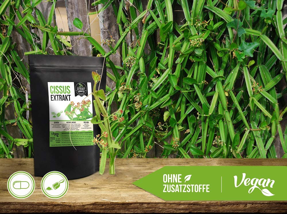 Cissus Quadrangularis EXTRAKT 120 vegan KAPSELN 400mg 40 Prozent Ketosterone ohne Zusätze in Deutschland hergestellt (Kapseln 120 Stk.)