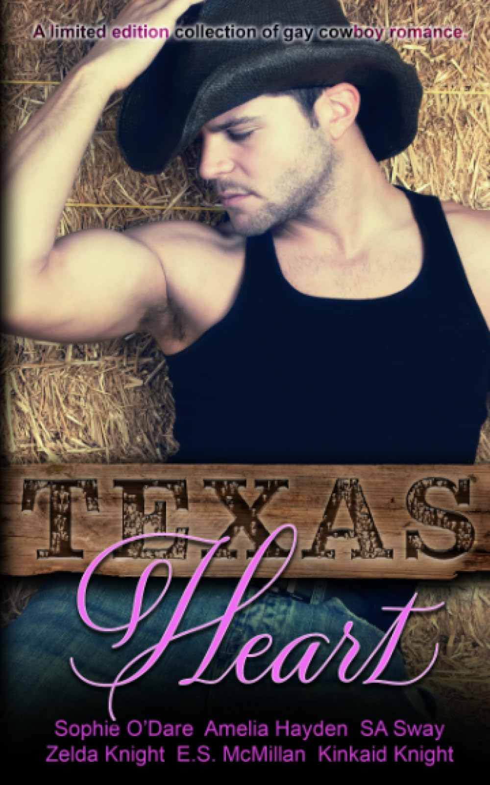 Buy Texas Heart: A collection of gay cowboy romance (Blue Crescent Books Anthologies) — BookShops.in