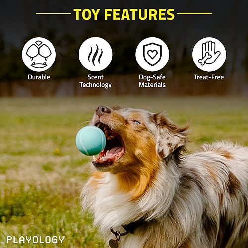 Miniatura 3 de Playology Juguete chirriante para perros medianos y grandes (10 libras en adelante), para moderados a pesados, juguete perfumado de mantequilla de
