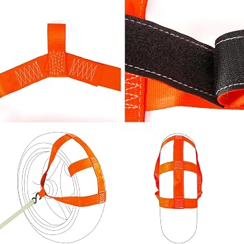 Motorcycle Transport Safety Tie Down Strap for Rear Wheel Tie Down Strap (Orange)