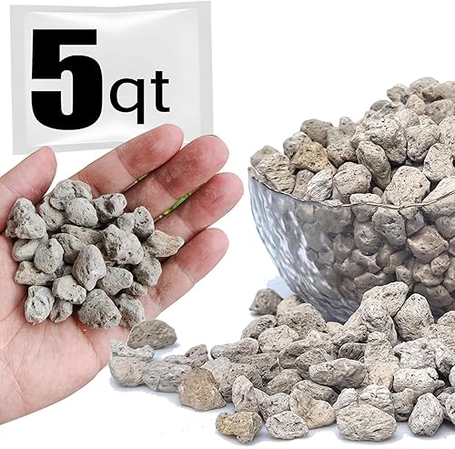 Piedra pómez hortícola para plantas tamizada profesional (5 cuartos de galón, 12 pulgada) disponible en Yaxa Guatemala