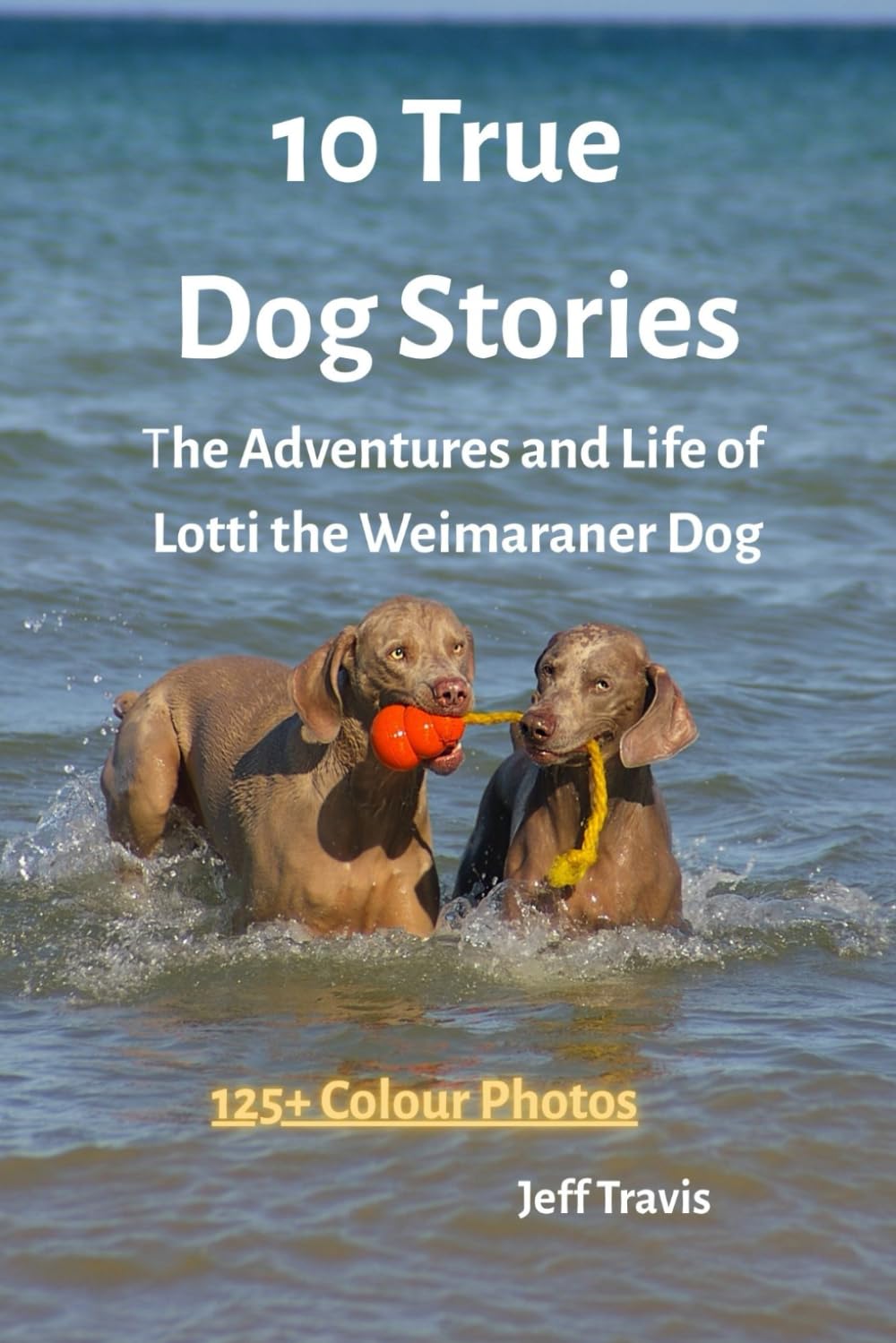 10 TRUE DOG STORIES: The Adventures and Life of Lotti The Weimaraner Dog Illustrated with 125+ Colour Photos