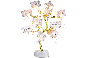 Star Style Money Tree Gift Holder with Clips
