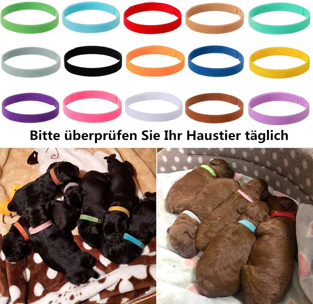 Andibro 60 stuks Kitten halsbanden, 12 kleuren Verstelbare puppy ID halsbanden Zacht puppyhalsband 10,5 cm bandlengte met verstelbare gesp voor pasgeboren puppies, katten, huisdieren