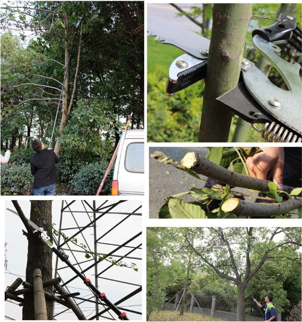 Forbici da albero telescopiche professionali con sega a lama in acciaio temprato Troncarami da albero Cesoie da giardino Bypass Cesoie da giardino Troncarami 20FT Forbici per alberi telescopici, 6M