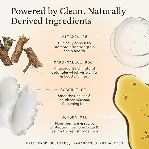 Miniatura 3 de The Earthling Co. Champú en barra  Champú suave a base de plantas para hombres, mujeres y niños  Fórmula vegana para todo tipo de cabello  Sin