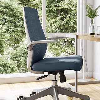 Ergonomics Household Office Chair, Double Layer Mesh Backrest Waist Support Computer Desk Chair Handrail can be Flipped