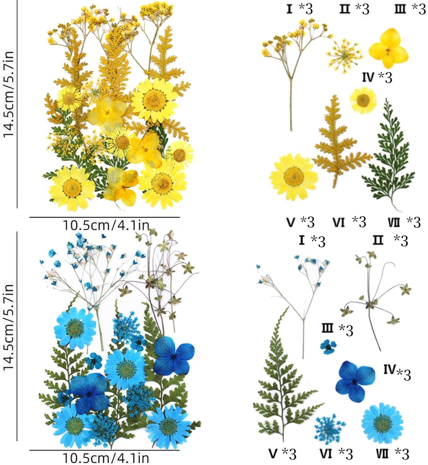 Dried Pressed Flowers Leaves for Resin Molds, Real Nature Flowers Herb Set, Dry Pressed Flowers Bulk for DIY, Card Making, Resin Mold, Jewelry Making, Candle, Soap, Nails Decoration