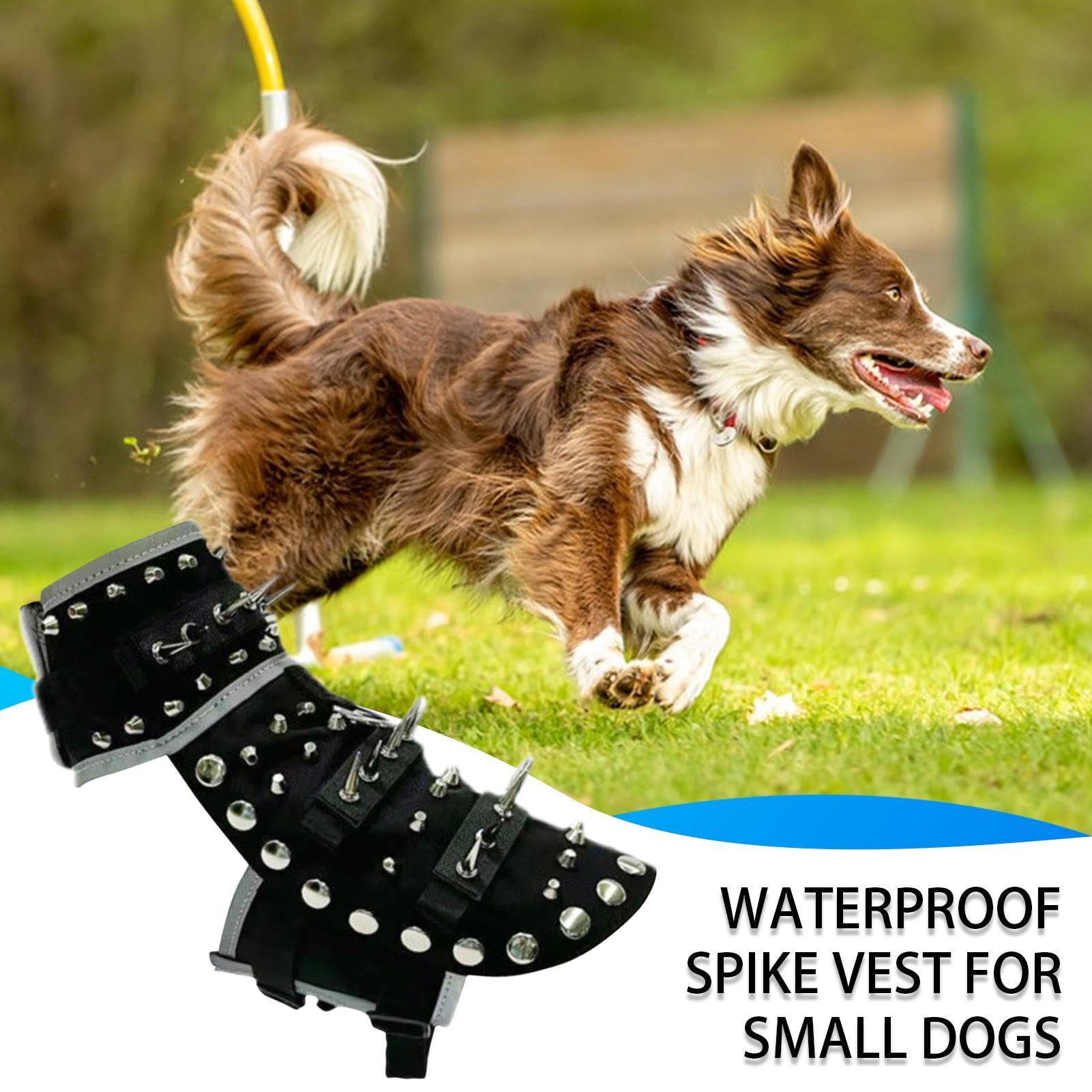 Chaleco con Púas para Perros Pequeños Escudo Ajustable contra Coyotes y | con púas Chaqueta Anticoyote Reflectante Protege a tu Mascota contra Coyotes y Rapaces en Paseos