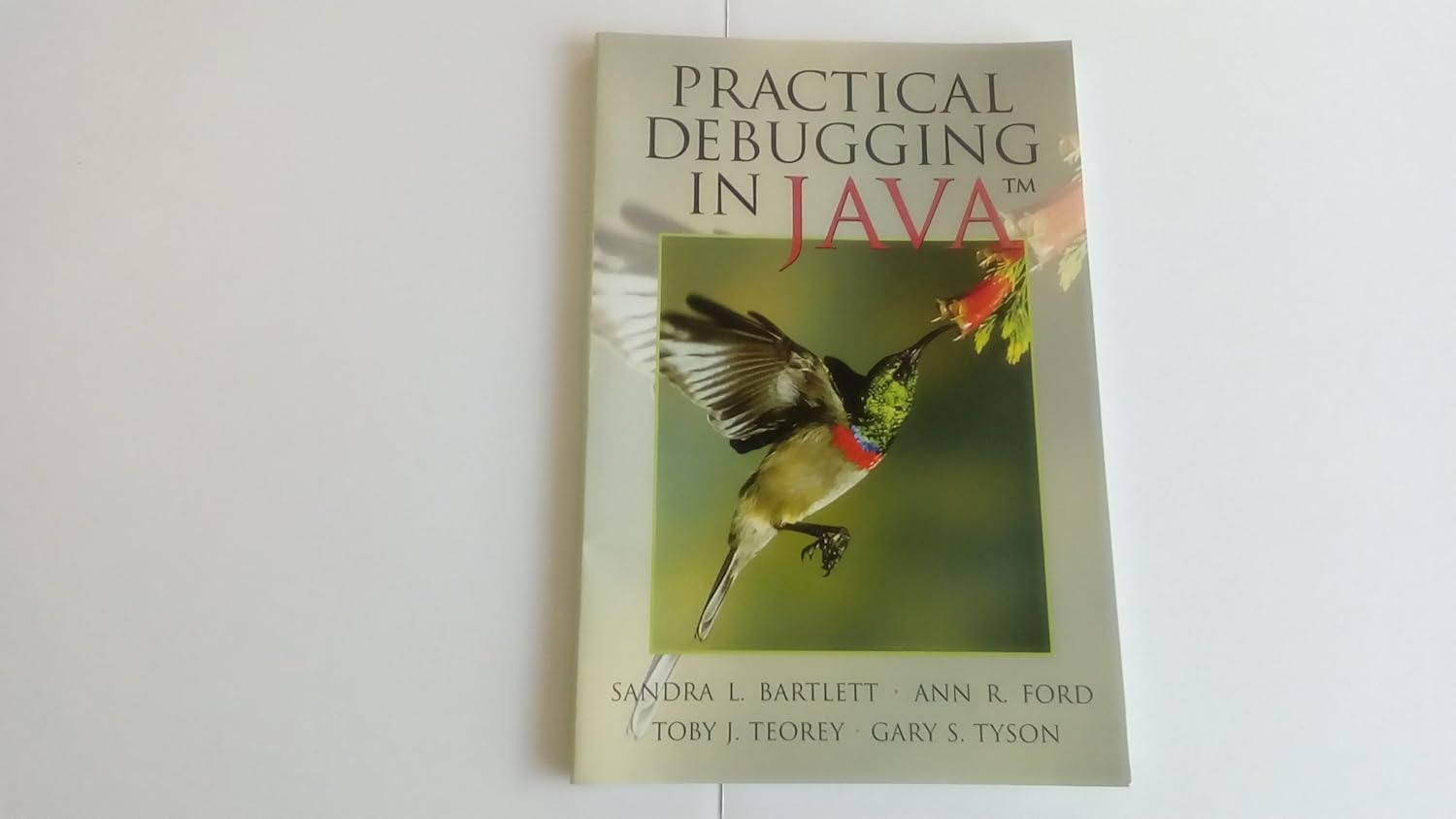 Practical Debugging in Java: Ford, Ann, Teorey, Toby, Bartlett, Sandy ...