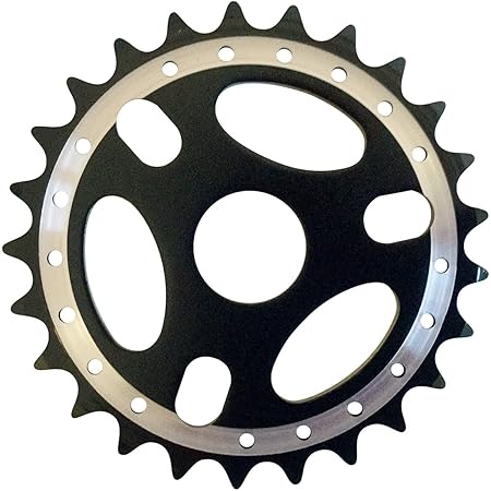 25 tooth chainring