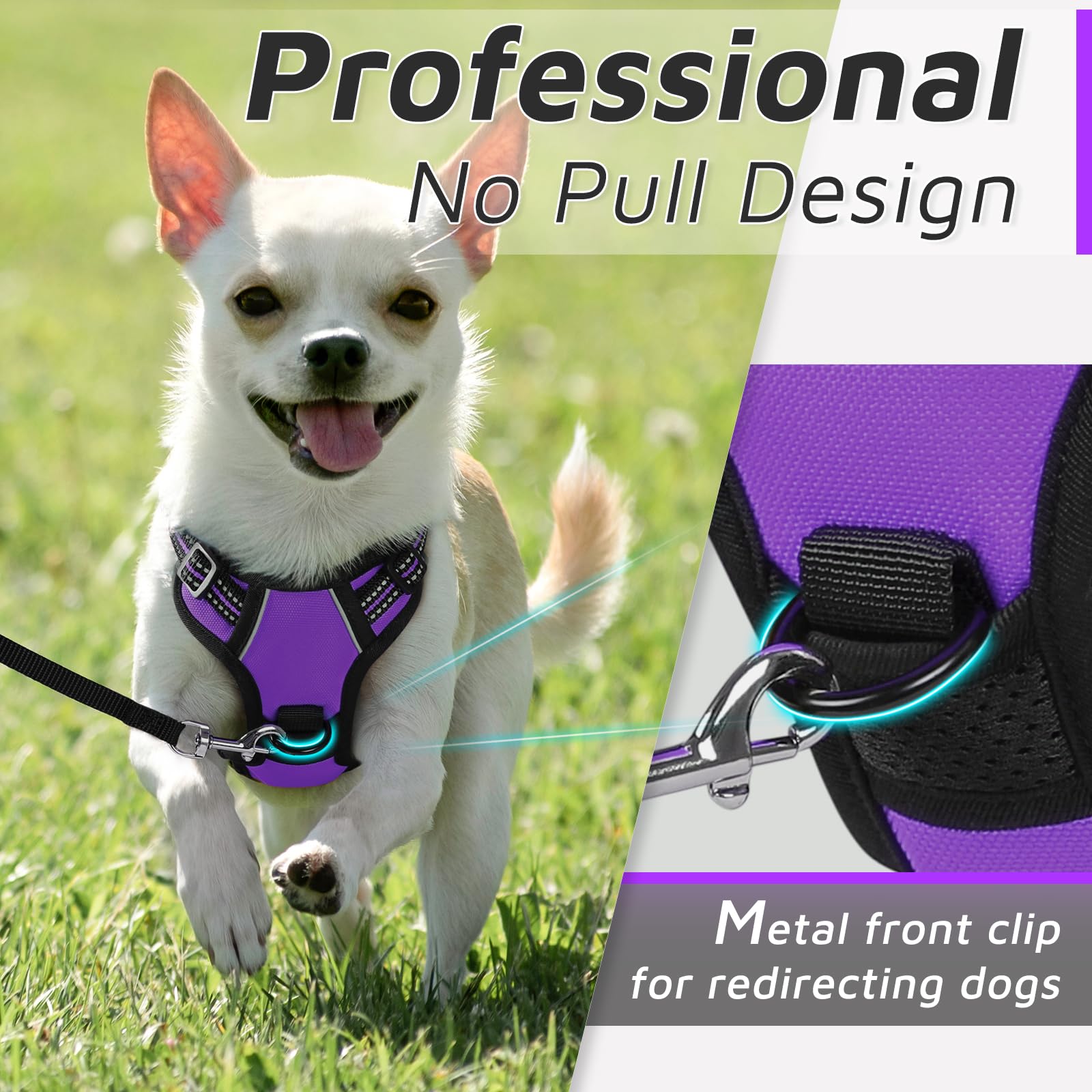 Eagloo Pettorina Cane Taglia Piccola, Pettorina ad h, Pettorina Antifuga Cane, Pettorina Anti Tiro per Cani con Doppio Gancio, Robusto e Regolabile per Addestramento, Pettorina Cucciolo, XS, Viola