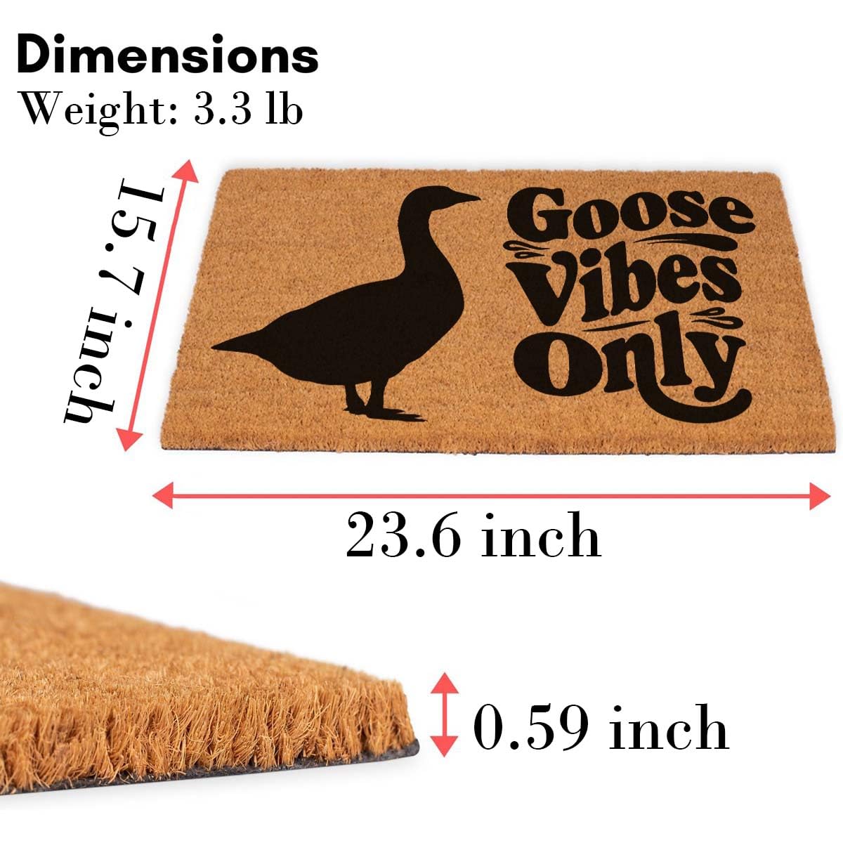 Lustige Kokosfaser-Fußmatte, 60 x 40 cm, personalisierbar, Geschenk für den Außeneingang, Veranda, Terrassentür, rutschfeste Dekoration (nur Goose Vibes)