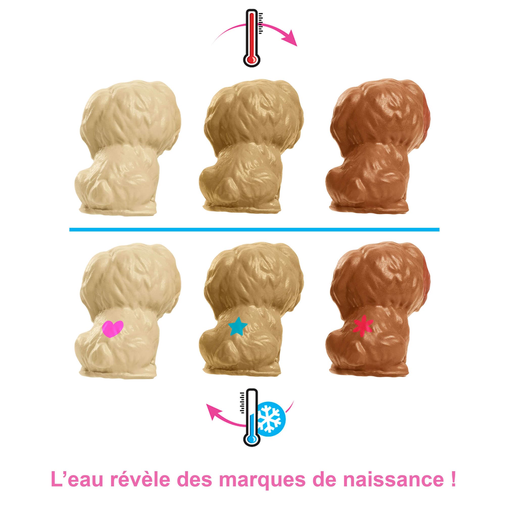 Barbie - Naissance des Chiots - Coffret avec Poupée Articulée, 1 Chienne et Ses 3 Chiots - Nombreux Accessoires de Soins - 29 cm - Dès 3 Ans, HCK75
