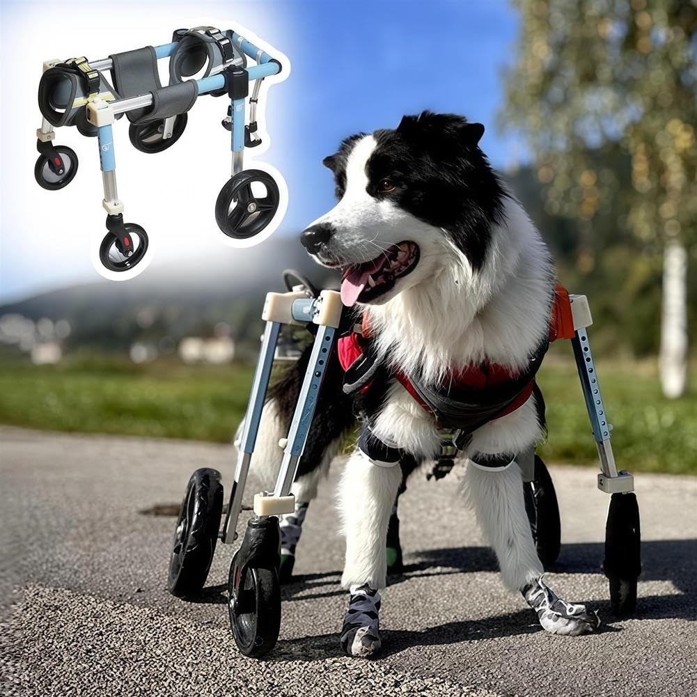 Supporto per Gambe Regolabile per Sedia A Rotelle per Cani A 4 Ruote, Sedia A Rotelle per Gambe Posteriori per Cani, Ausilio per La Mobilità A Supporto Completo