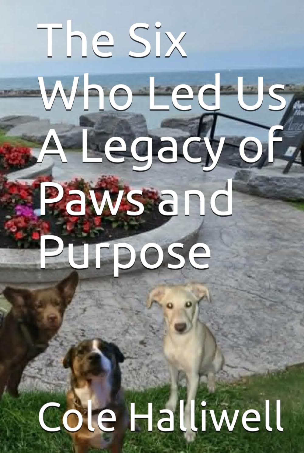 The Six Who Led Us A Legacy of Paws and Purpose