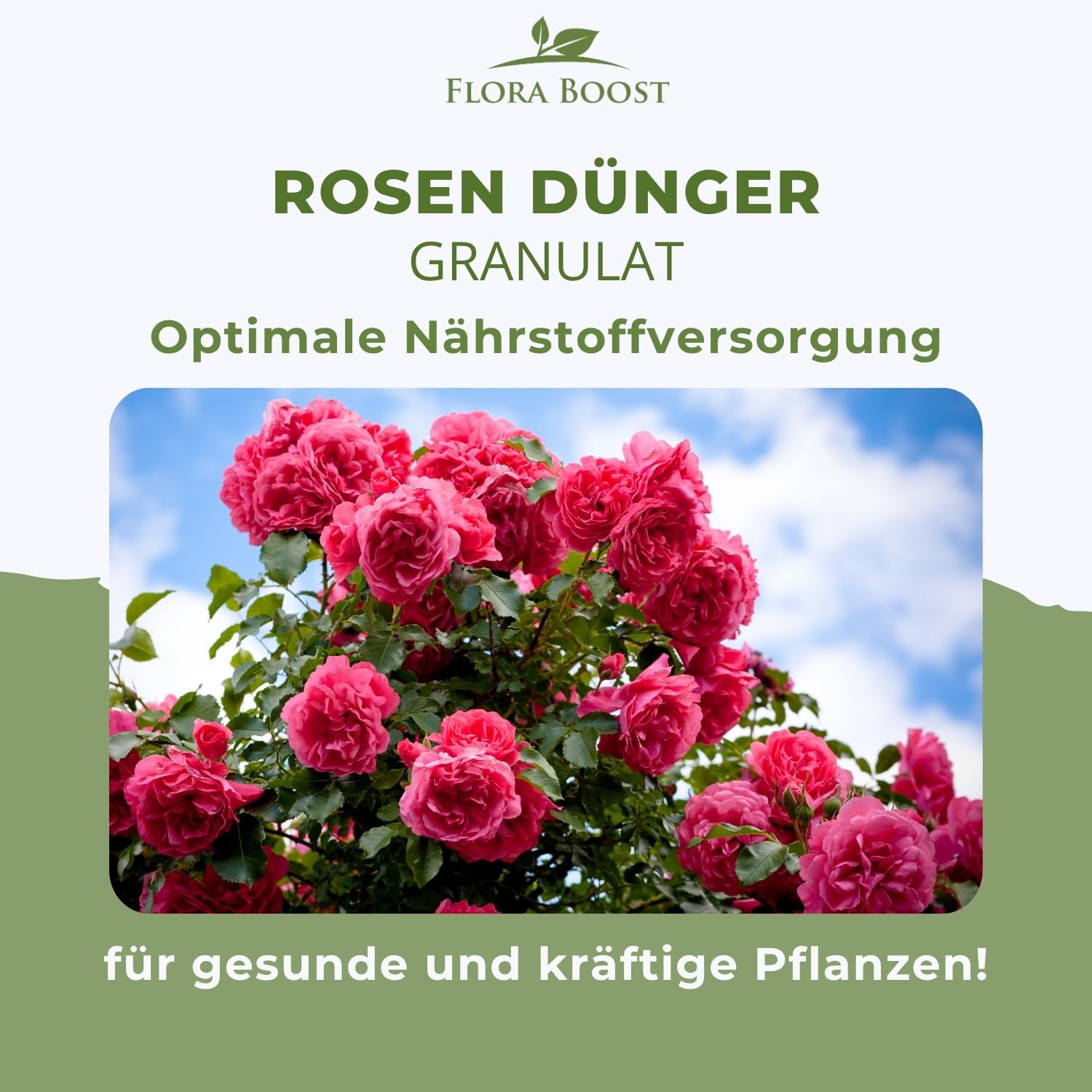 Flora Boost PRO Rosen Dünger 5 kg I Langzeitdünger für Edel-, Beet-, Kletter- & Strauchrosen I Granulat für üppige Blüten, kräftiges Wachstum & gesunde Rosen