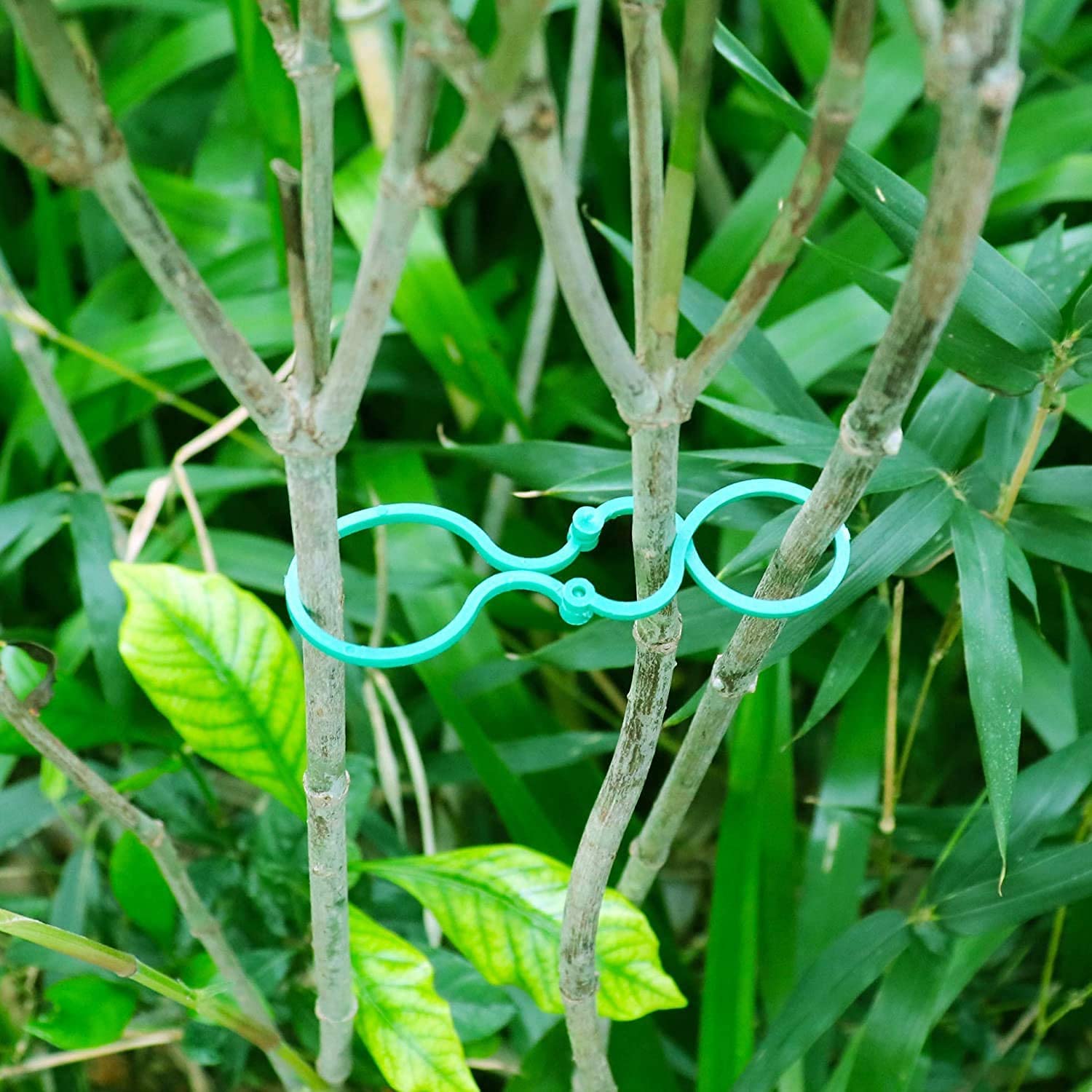 Clip per orchidee da giardino, clip di supporto per piante, set