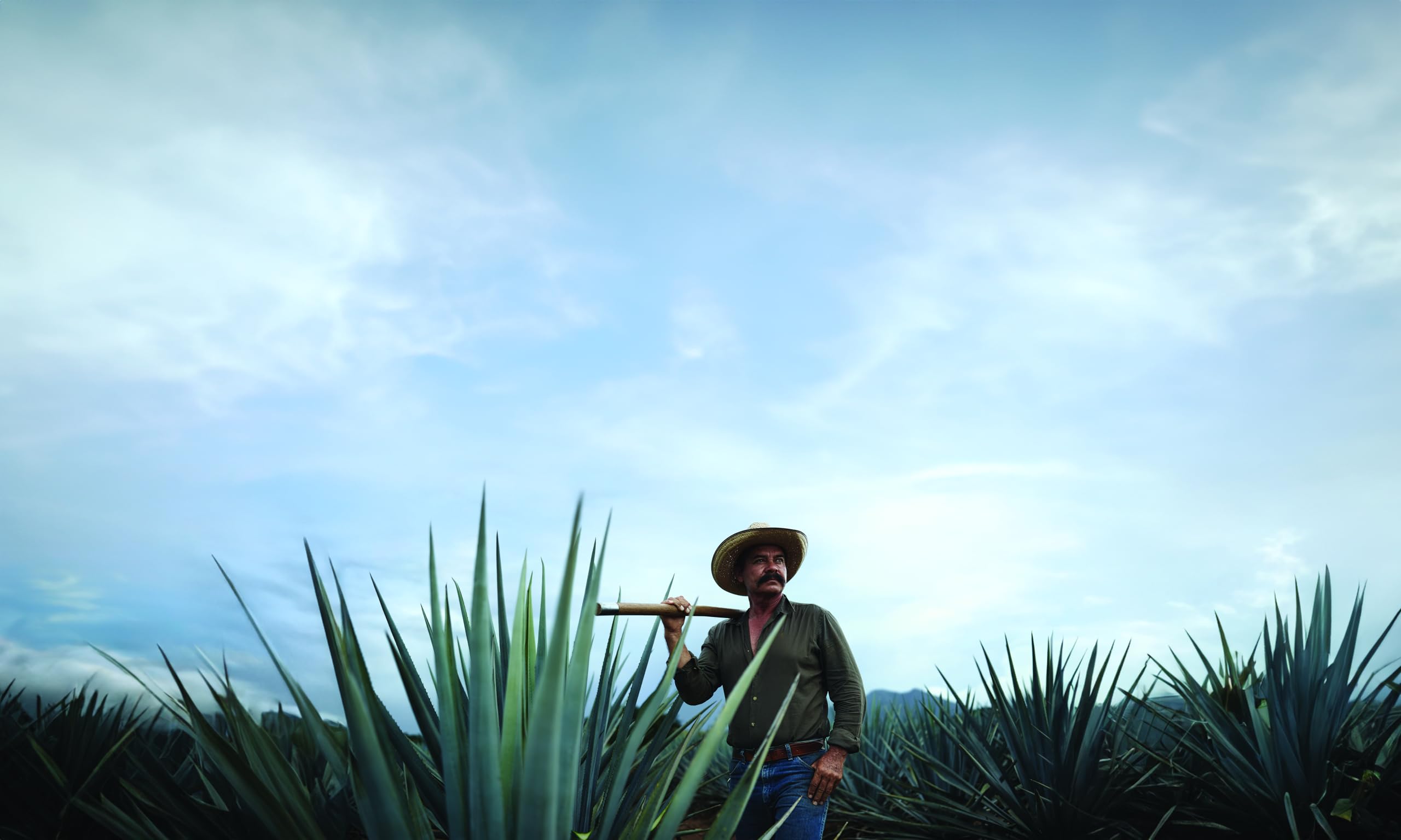 Jose Cuervo Tradicional Reposado 70cl - Tequila 100% blue agave, invecchiato 4 mesi. 40% vol.