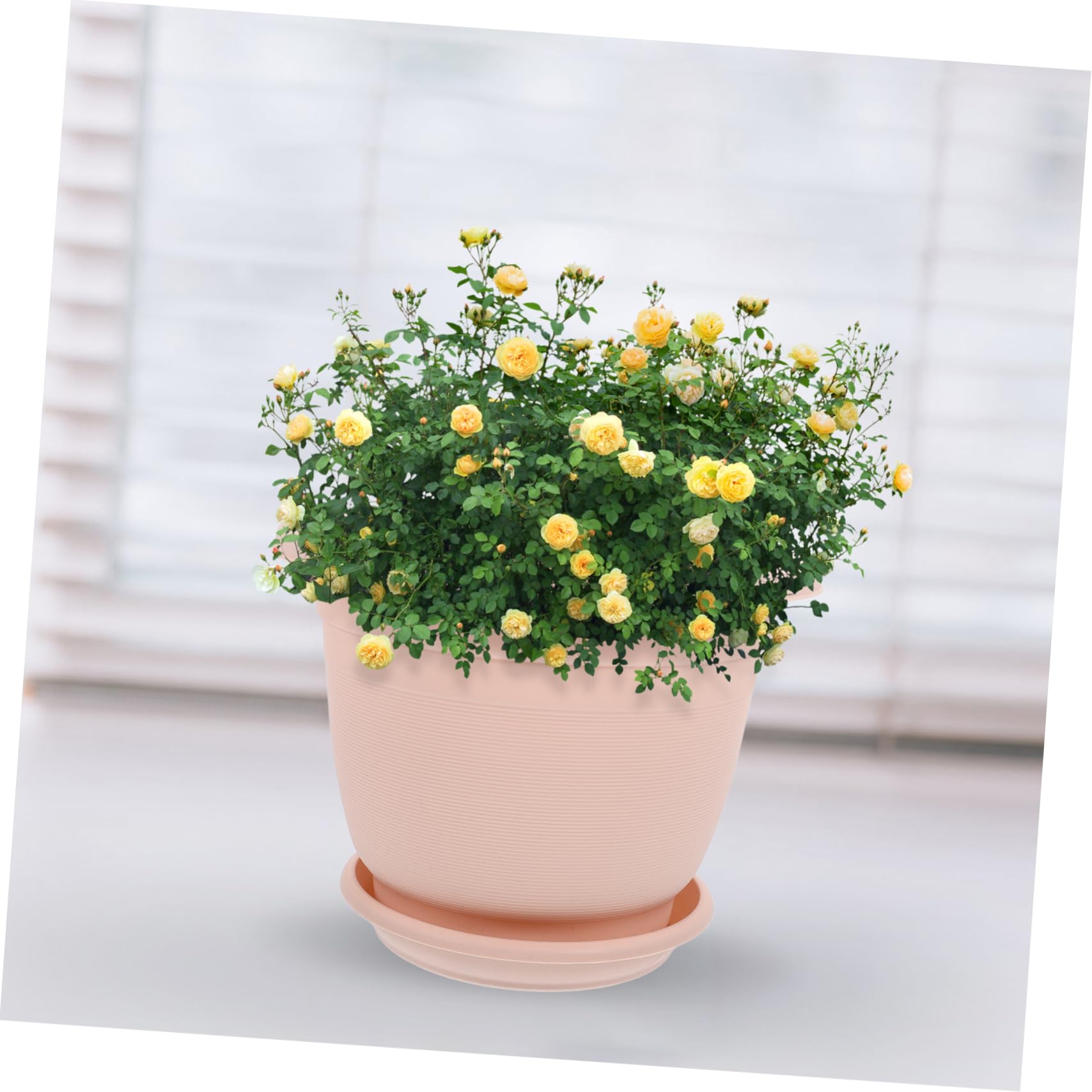 5 Ensembles De Pots De Fleurs en Plastique avec Soucoupes pour Plantes D'intérieur Et Pépinière Lot de Pots De Fleurs Extérieur pour Maison Jardin