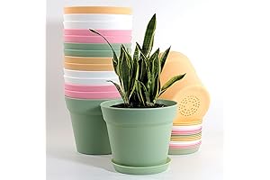 WOUSIWER 16 Pack 6 inch Colorful Flower Pots for Outdoor
