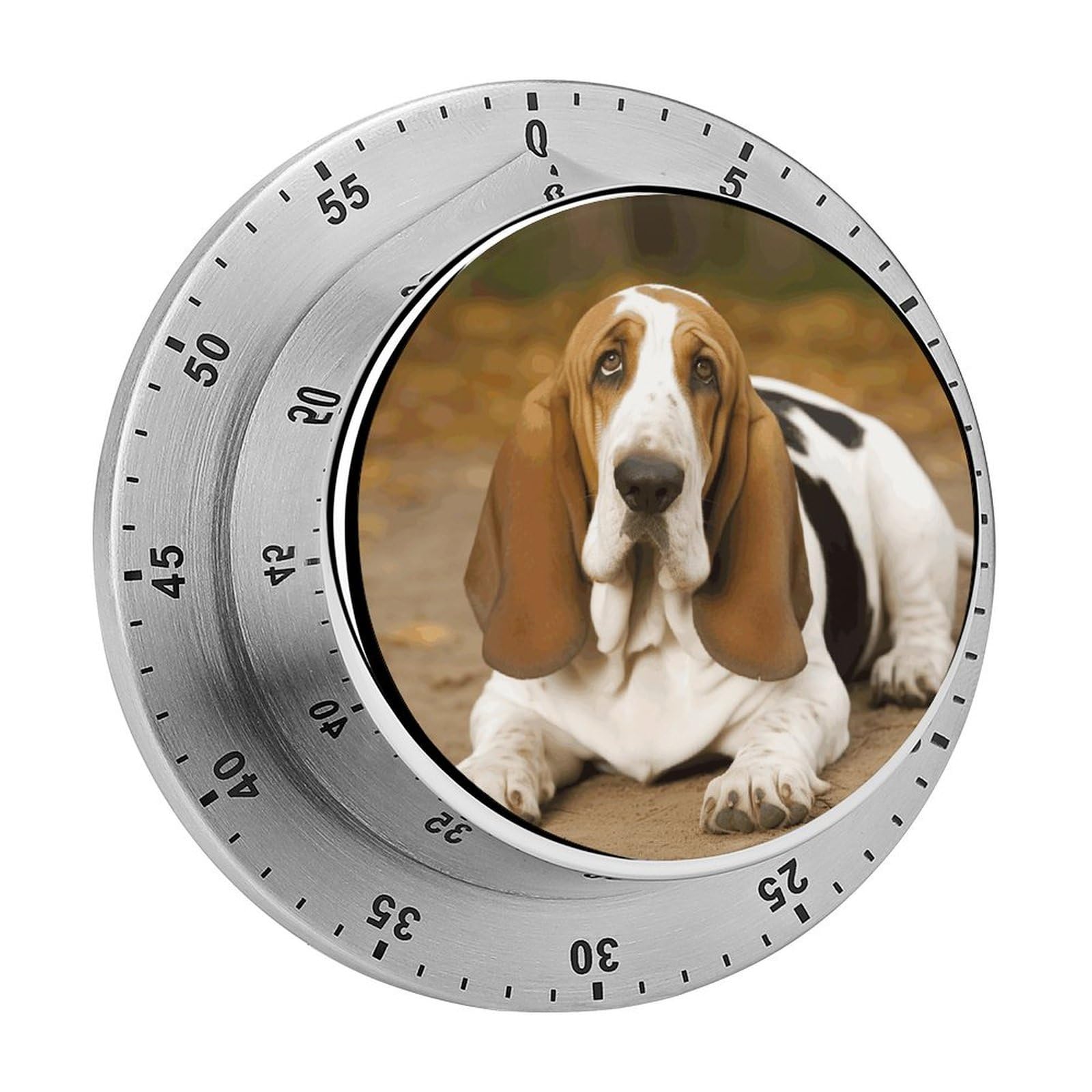 Basset Hound Timer Exquisite Stainless Steel Body Mechanical Desk Timers 60 Minutes Visual Countdown Timers with Magnetic Backing Loud Alarm Kitchen Timer for Cooking