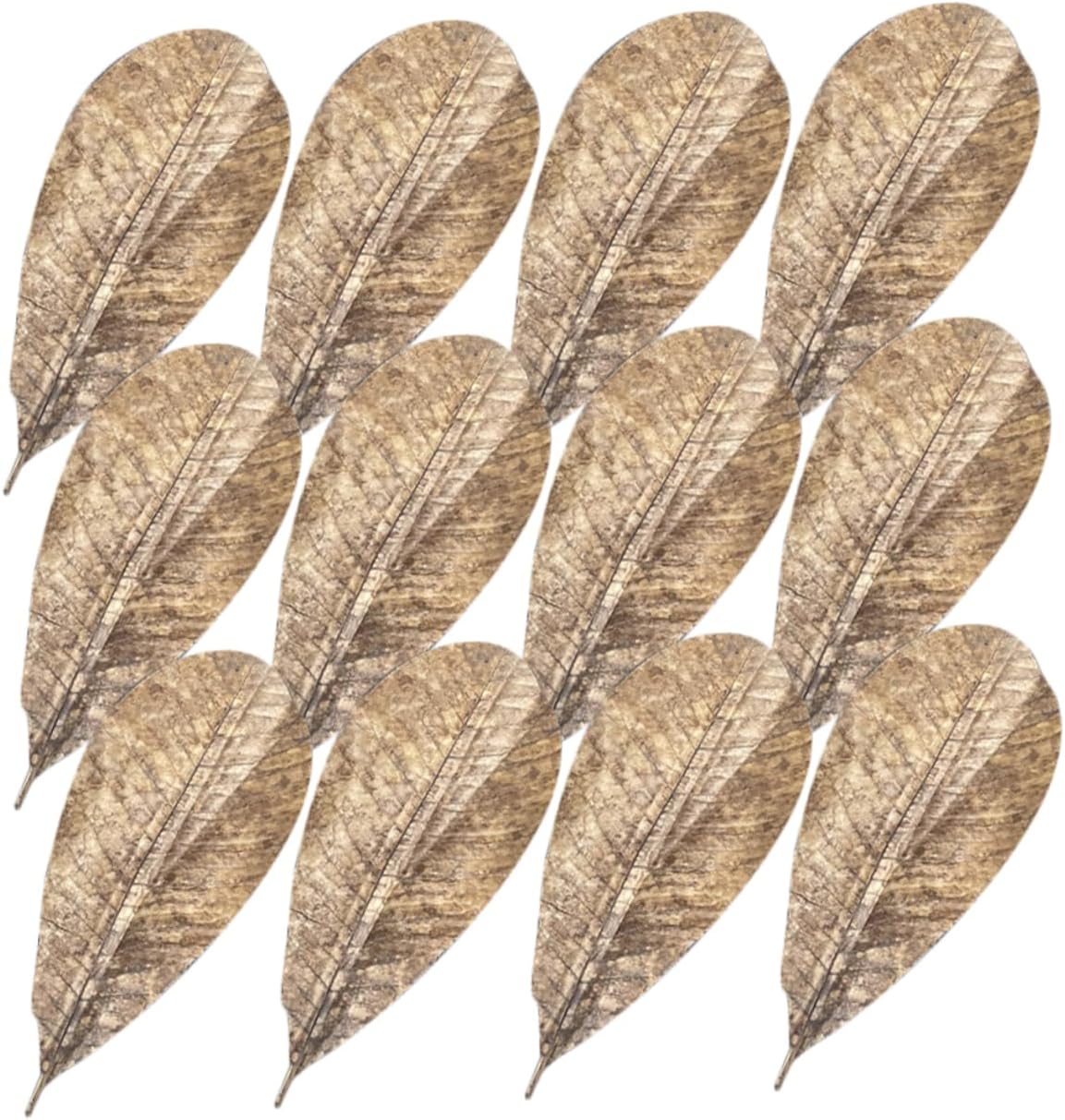 SOLUSTRE 20pcs Dried Poplar Leaf Pad Japanese Sushi Plate Ornaments Decor for Sushi Dish
