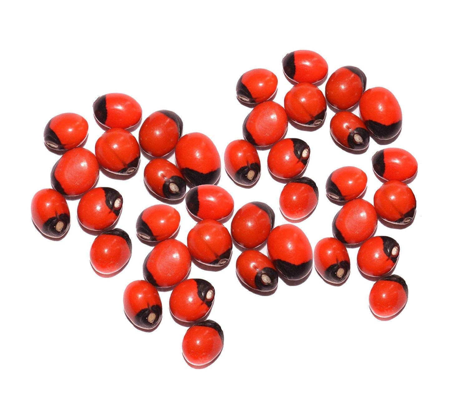Dorvik Lal Chirmi gunja Beads chirmi Ke Beez chirmi Seads Red gunja 