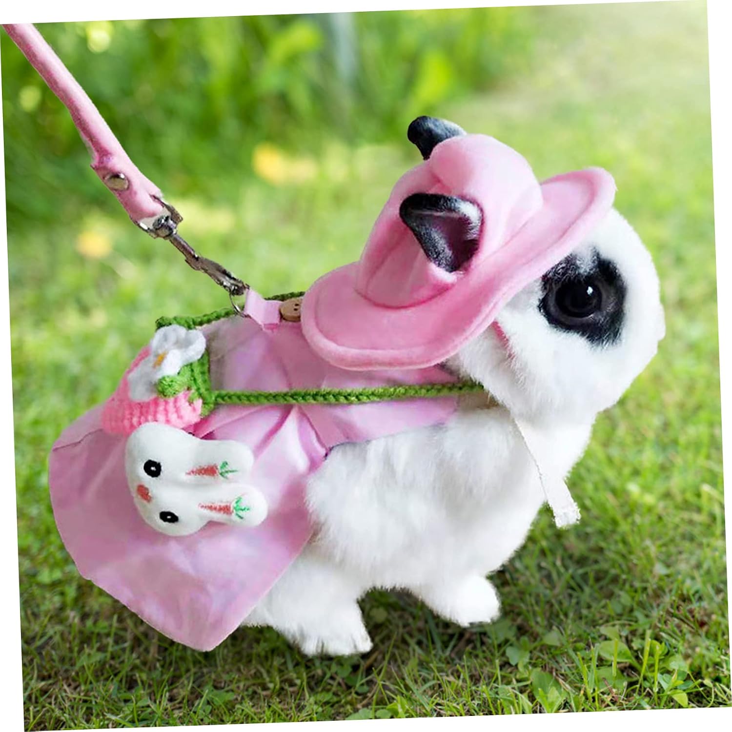 Cat Vest Leash Accessories Set Adorable Costume for Pets Includes Hat Brooch and Leash for Weddings Holidays and Birthday Parties