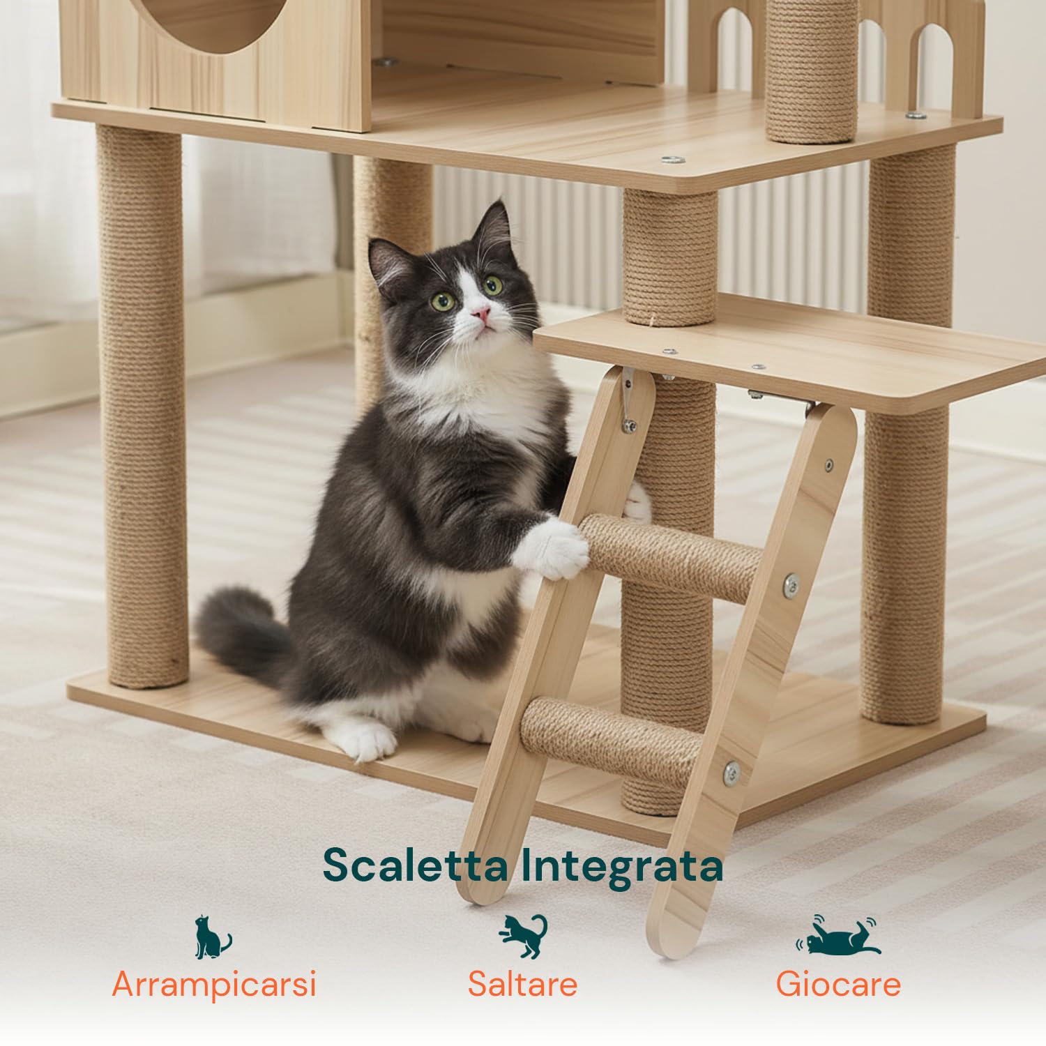 Avilia - Tiragraffi per Gatti Multilivello con Cuccia, Piattaforme in MDF e Colonne in Sisal, H135 cm, con Amaca Trasparente e Pallina Pendente, per Gioco, Relax e Osservazione