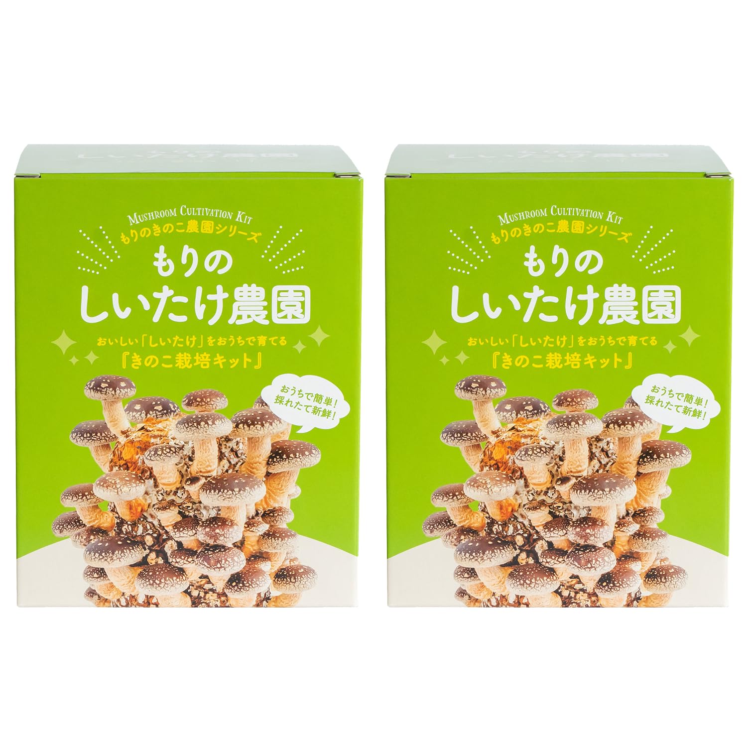 森のきの子様×4 Amazon｜森のきのこ倶楽部 もりのしいたけ農園 2箱入り 栽培キット