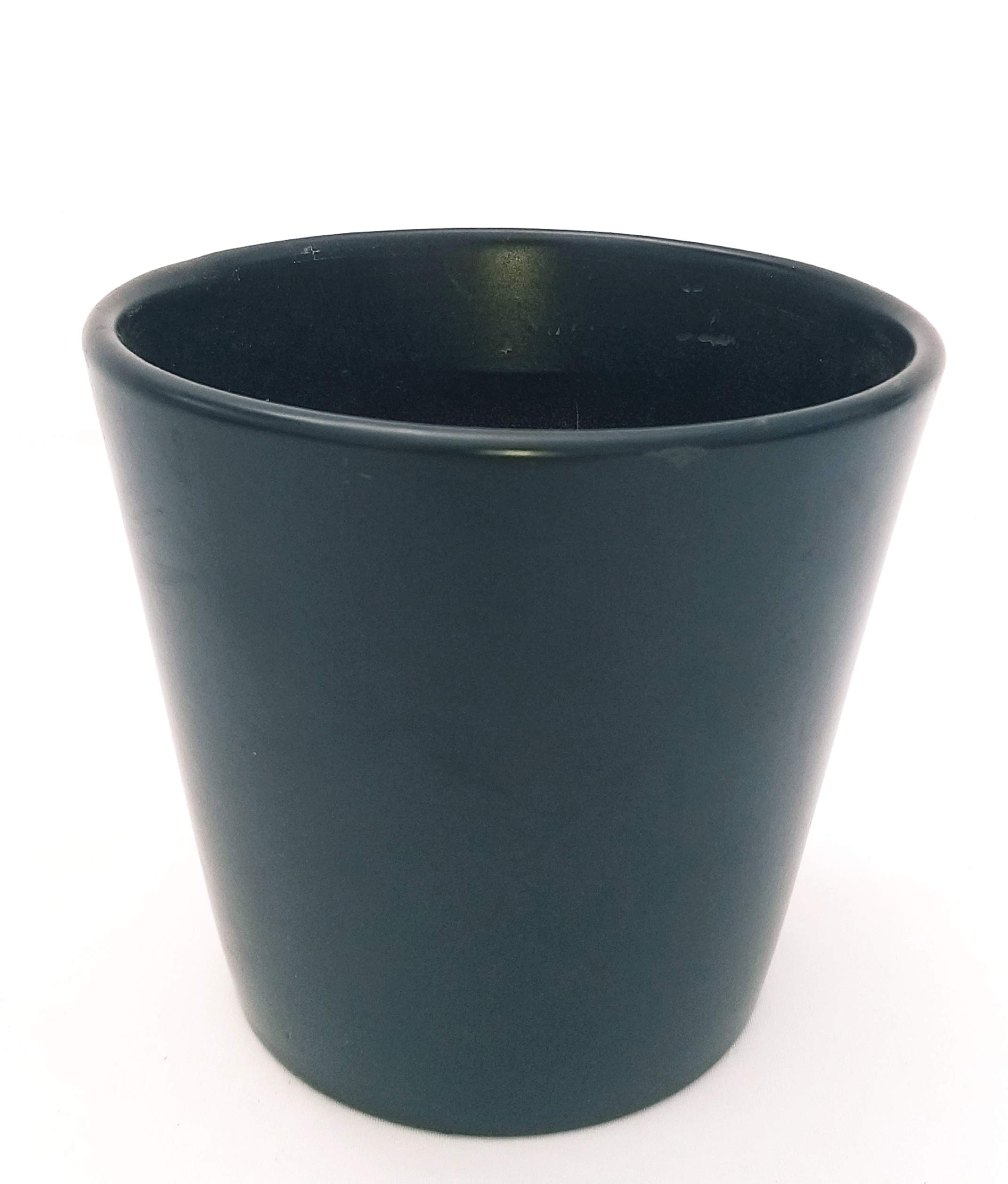 POWERS TO FLOWERS - FICUS PUMILA, FICUS REPENS IN VASO CERAMICA NERO OPACO, 3 PIANTE V12, Piante Vere