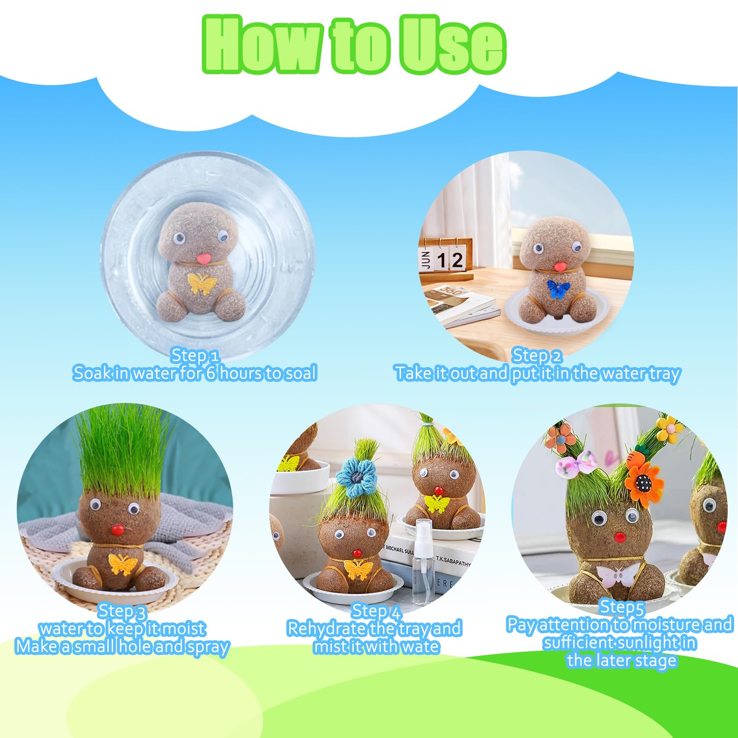 Mini Bonsaï Tête d'Herbe Grass Head avec Plateau - 2 Plantes (M3)