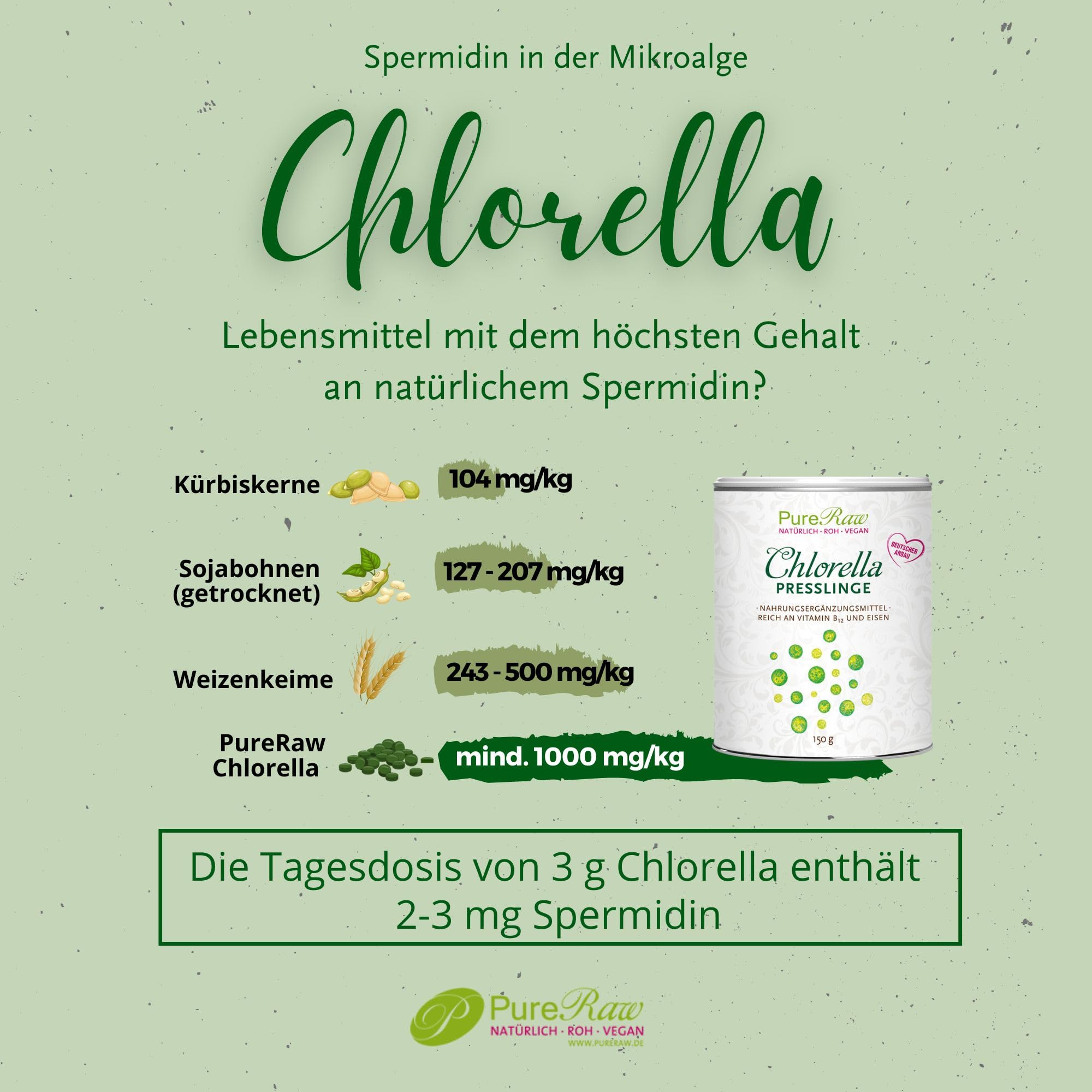 Chlorella Pulver 120g aus Deutschland - Regional, Rein & Kontrolliert (Roh Vegan) Algen reich an Vitamin B12 Eisen Spermidin Chlorophyll - Grüne Mikroalge Chlorella Vulgaris