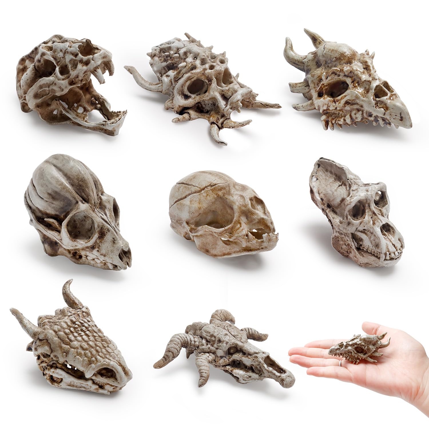 Amazon.com: Bbiamsleep 8 Pcs 2.3 Inch Animal Skulls Figurine Resin