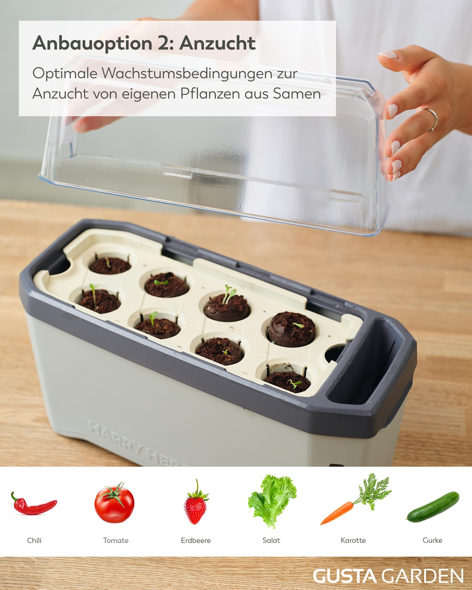 Harry Herbs - 4 in 1 Kräutertopf - Anzucht - Microgreens - Hydroponik - integriertes Wasserreservoir mit Bewässerungssystem - inklusive Wasserstandsanzeige - indoor & outdoor (hellgrau, mit Haube)