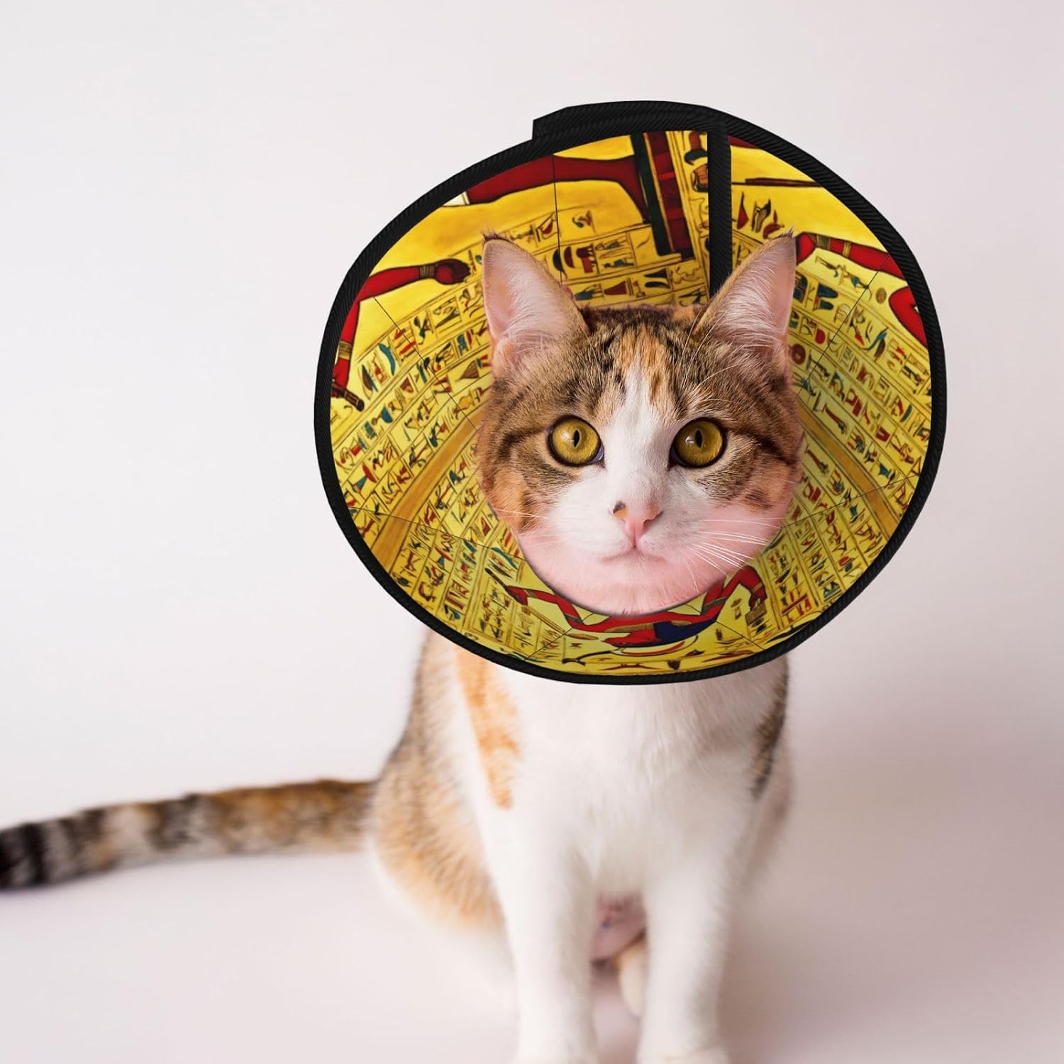Ancient Egypt Tribe Series Print Cat Cone Collar, Adjustable Elizabethan Collar, Soft Dog Recovery Collars, for Small Large Cats